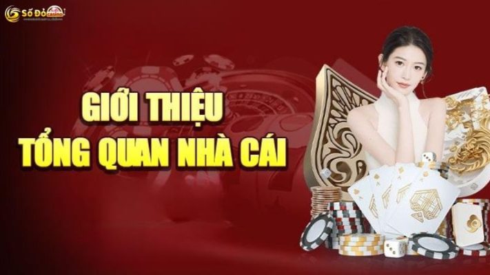 Thông tin tổng quan về nhà cái Sodo66